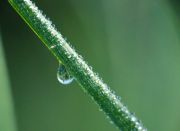 De wereld op z'n kop